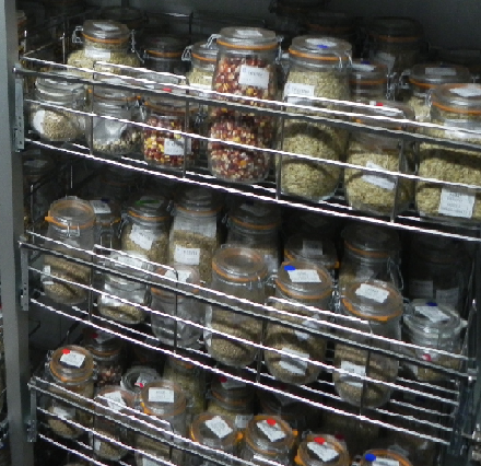 Conservación ex situ