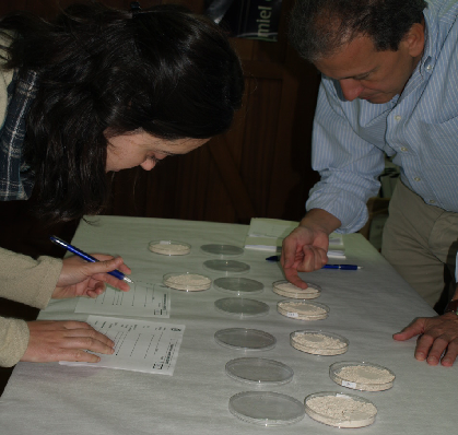 Conservación in situ