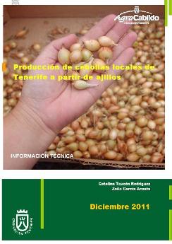 Producción de cebollas locales de Tenerife a partir de ajillos