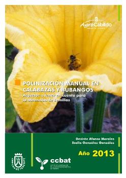 Polinización manual en calabazas y bubangos. Aspectos a tener en cuenta para la obtención de semilla