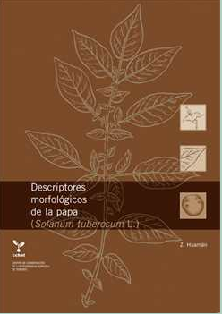 Descriptores morfológicos de la papa