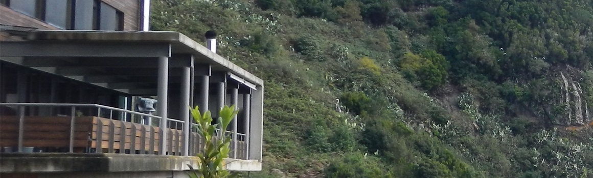 Restaurante (Terraza - Comedor)