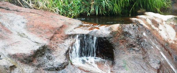 Anaga, Reserva de la Biosfera