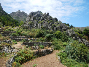 Ruta las Vueltas de Taganana
