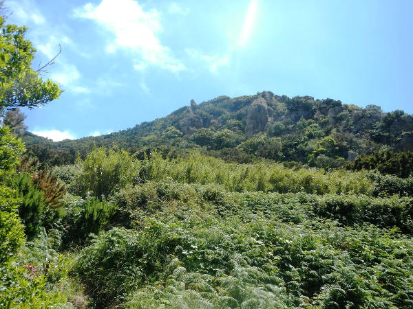 Ruta senderismo Albergue - Bailadero - Cresal