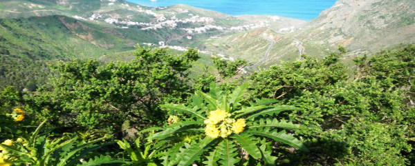Ruta sendero albergue-Taganana (por Lomo Abicore)