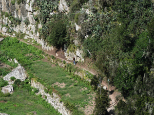 Sendero albergue-Taganana (por Lomo Abicore)