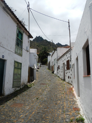 Sendero las Vueltas de Taganana