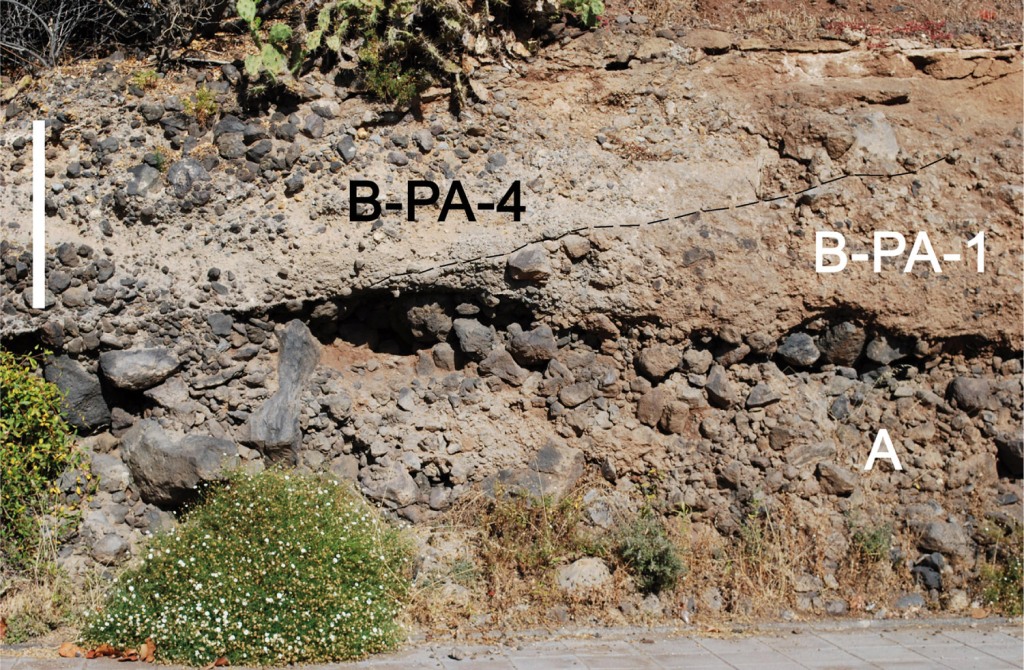 El Cabildo presenta la revista científica de Museos, ‘Vieraea’ 