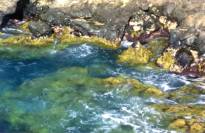 Acantilados de Isorana