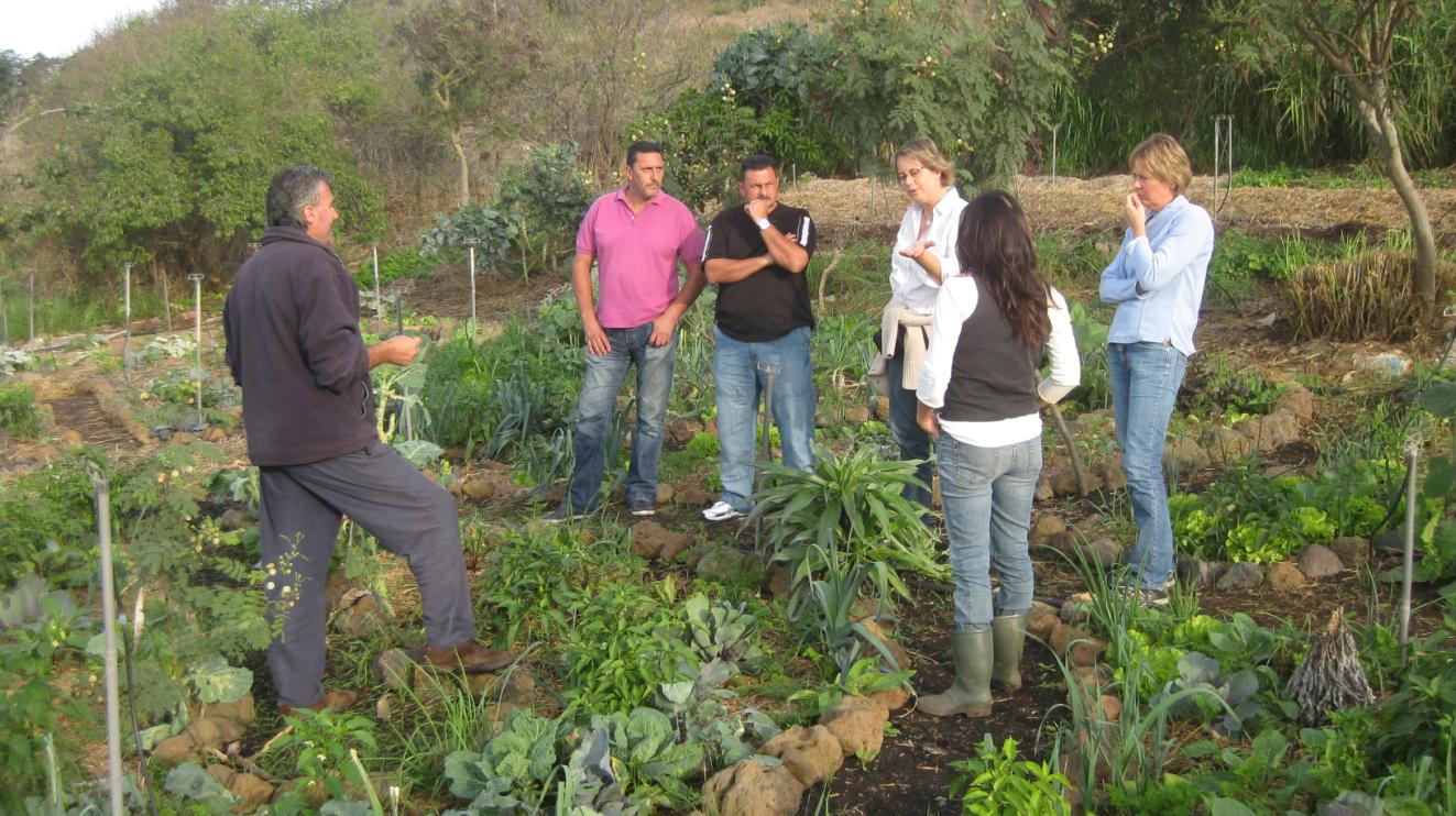Visita a la Finca el Mato del personal de jardinería del Hotel Tigaiga