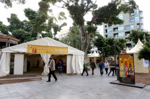 150102_tfe_mercadillosantacruz8