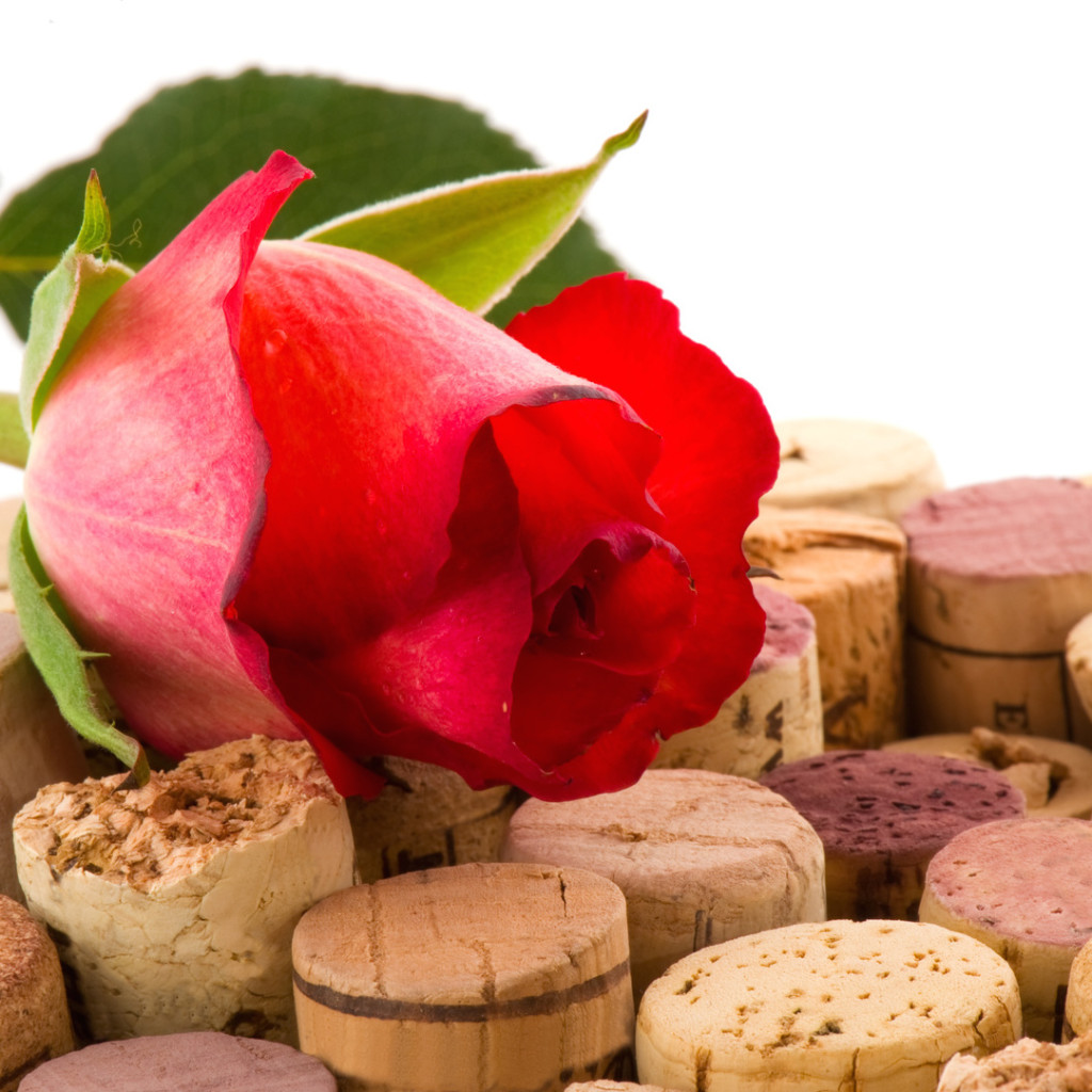 Tenerife “Patrimonio y vino”