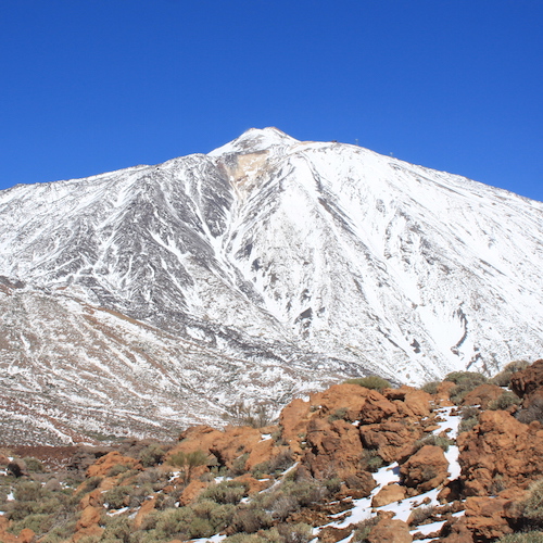 Tranvía para zona turística del sur