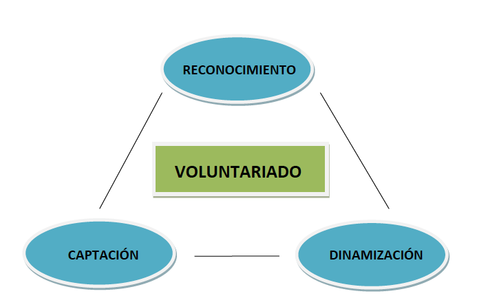 voluntariado
